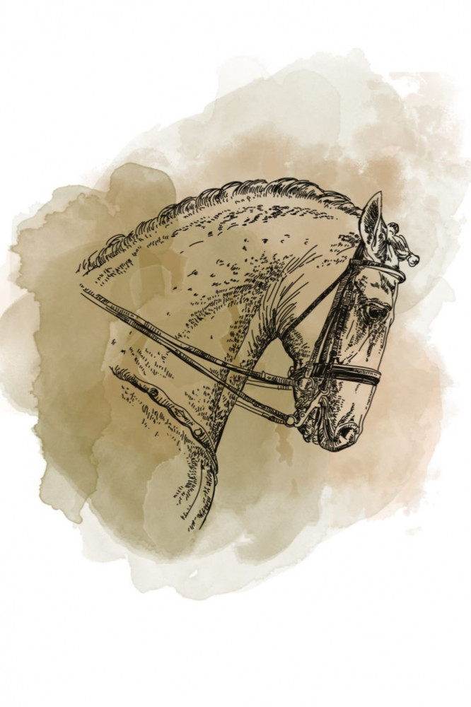 حبوب قهوه كولومبيا - أروقيت من مصنع القهوة 250 جرام