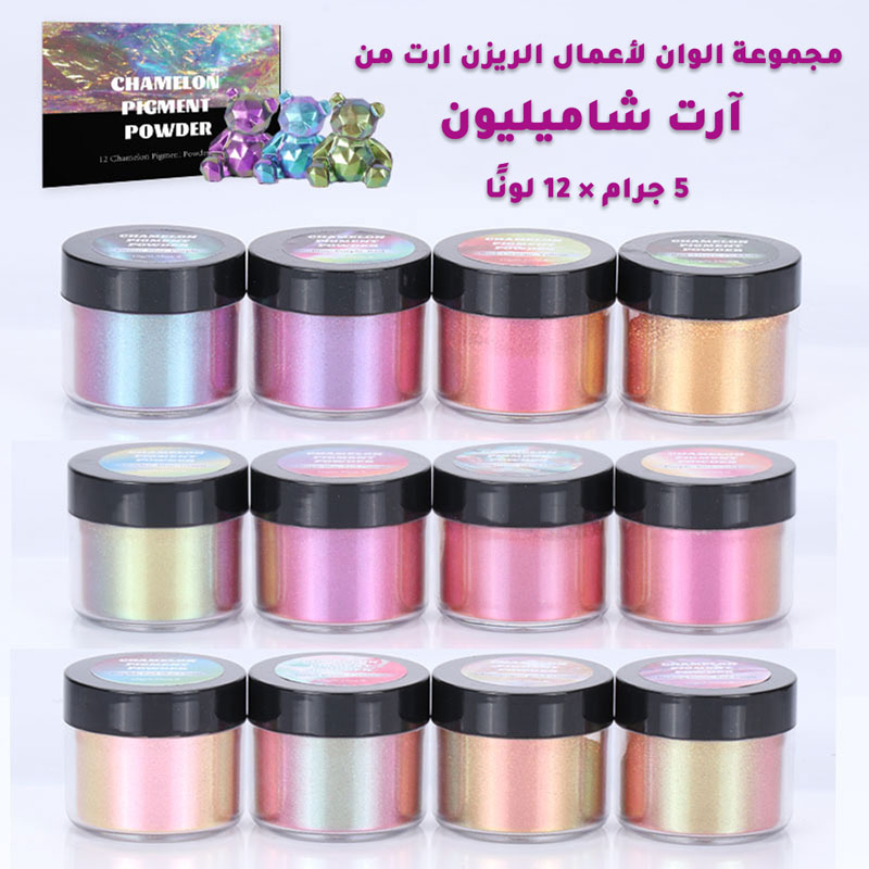 مجموعة من 12 لون ريزن كاميليون بودرة بتاثيرات خاصة 5 جرام-AR010159