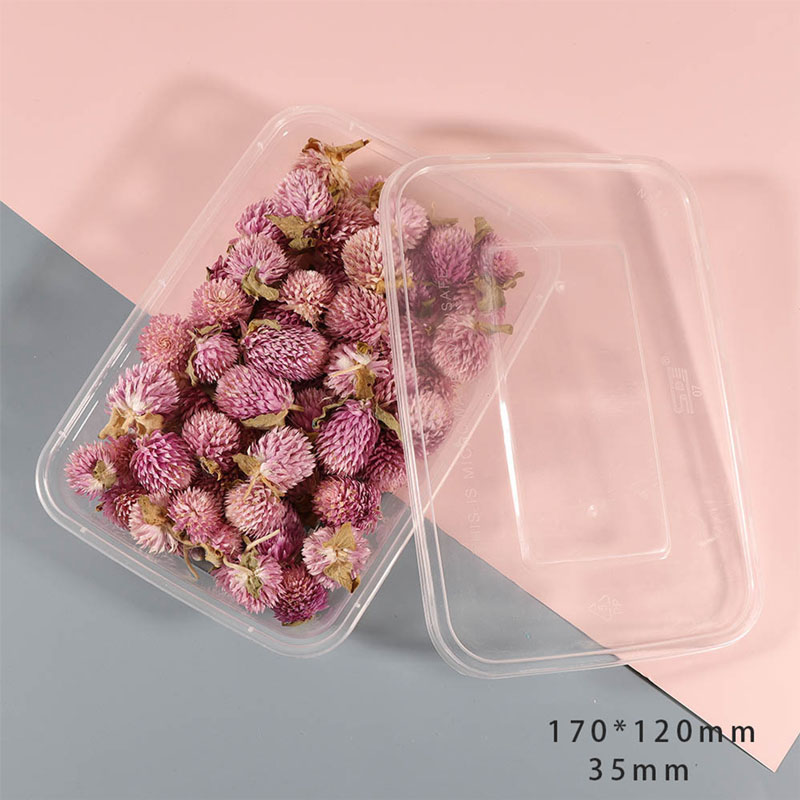 زهور مجففة للريزن و الاشغال G-304-AR010266