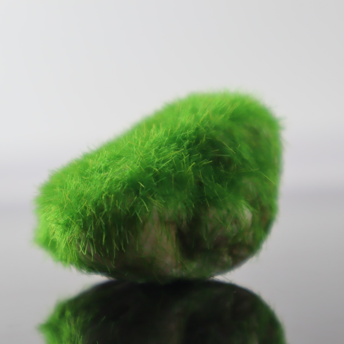 حجر مغلف بعشب موس صناعي للتيراريوم و احواض اسماك الزينة