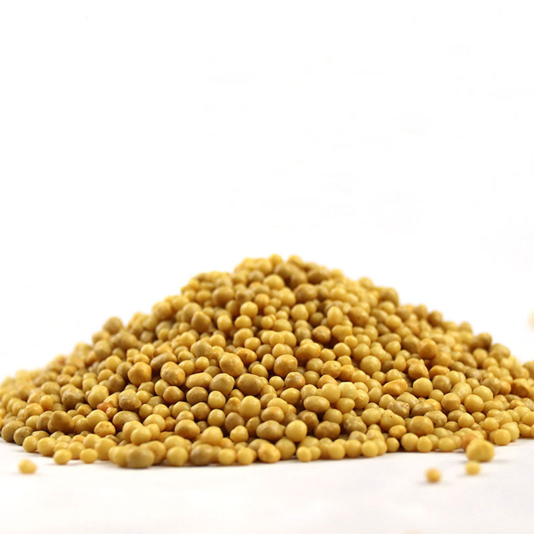 Planting slow release fertilizer 12M 10G