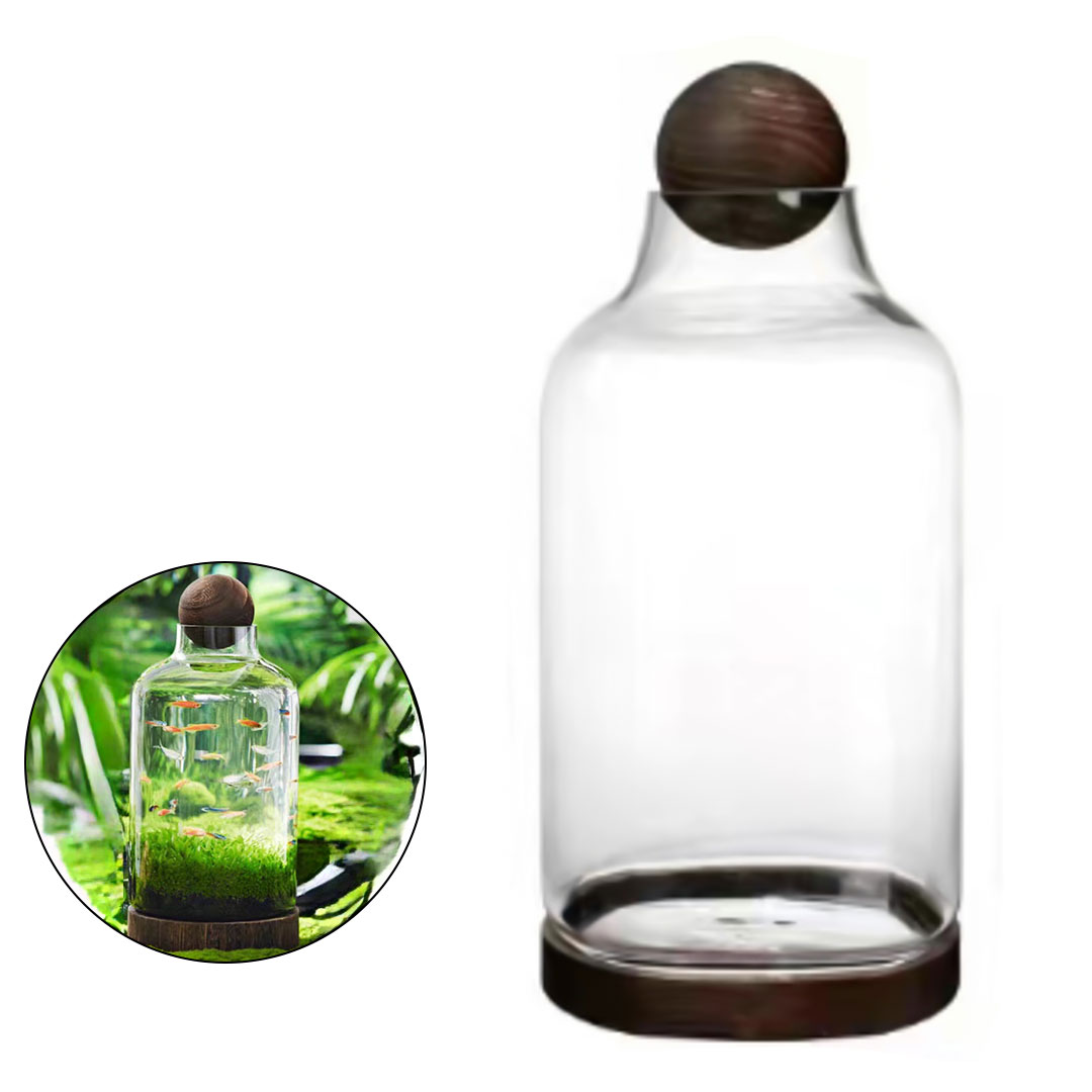 حوض تيراريوم  زجاجي بقاعدة و غطاء خشبي J-433