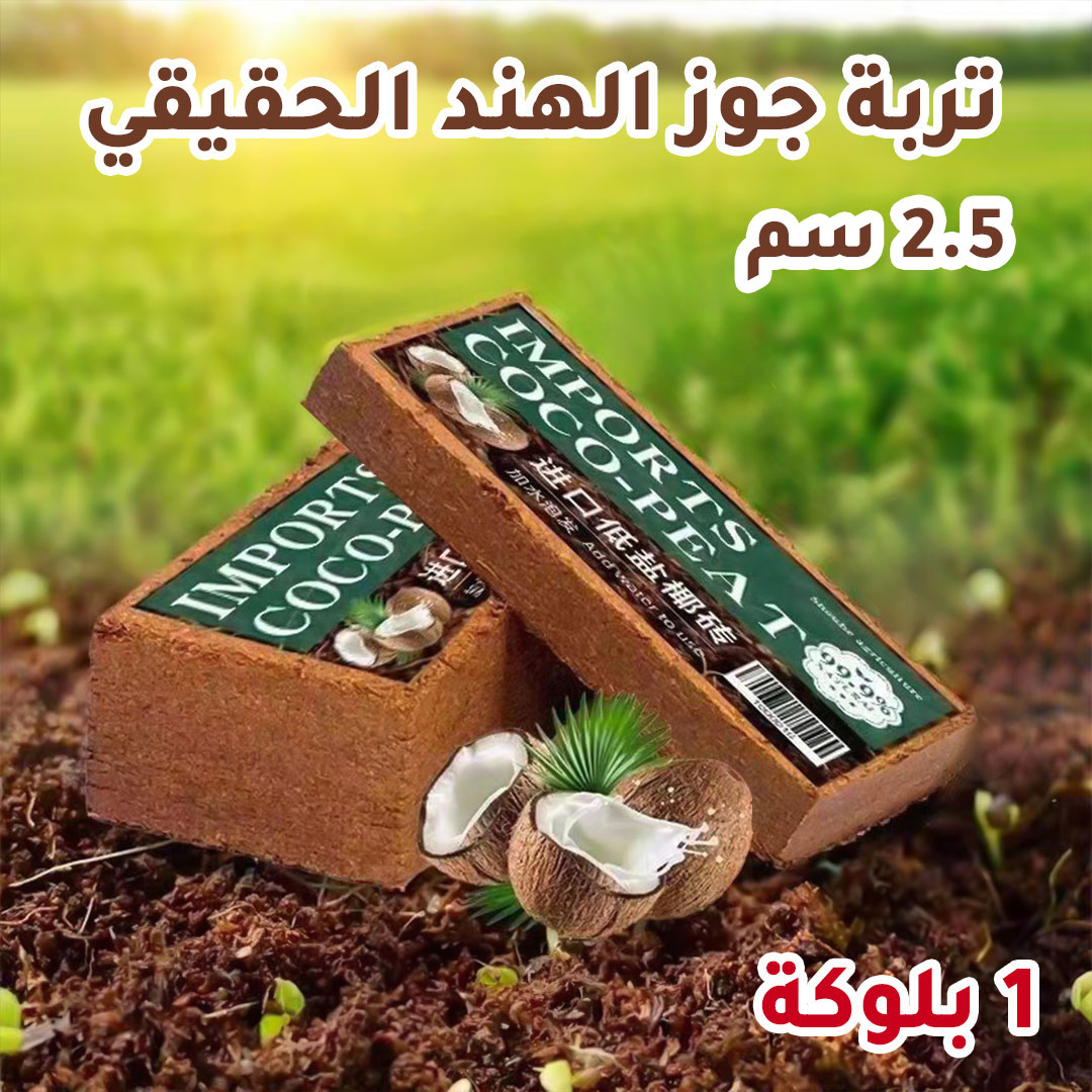 Planting compressed cocopeat block 20x10x2.5cm