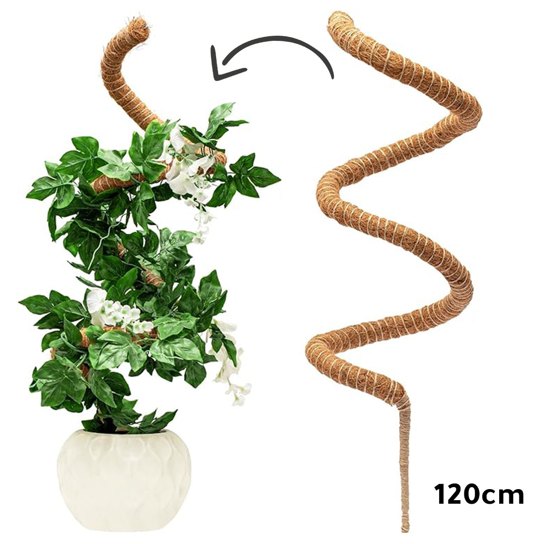 Planting air rooting flexible stick for pathus 120cm J-1282