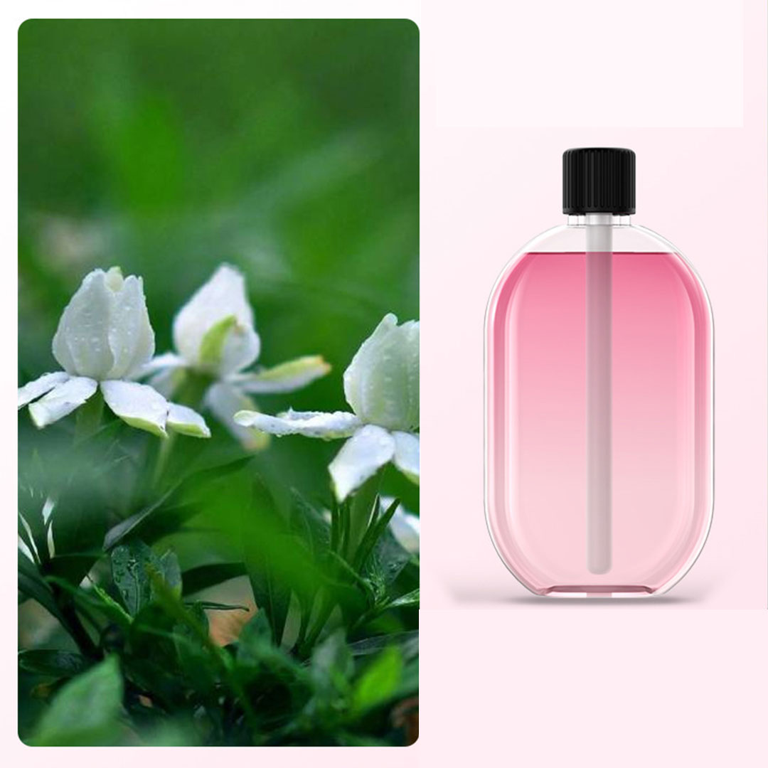 عطر الجاردينيا الخاص بمعطر الجو الصغير القابل لاعادة الشحن