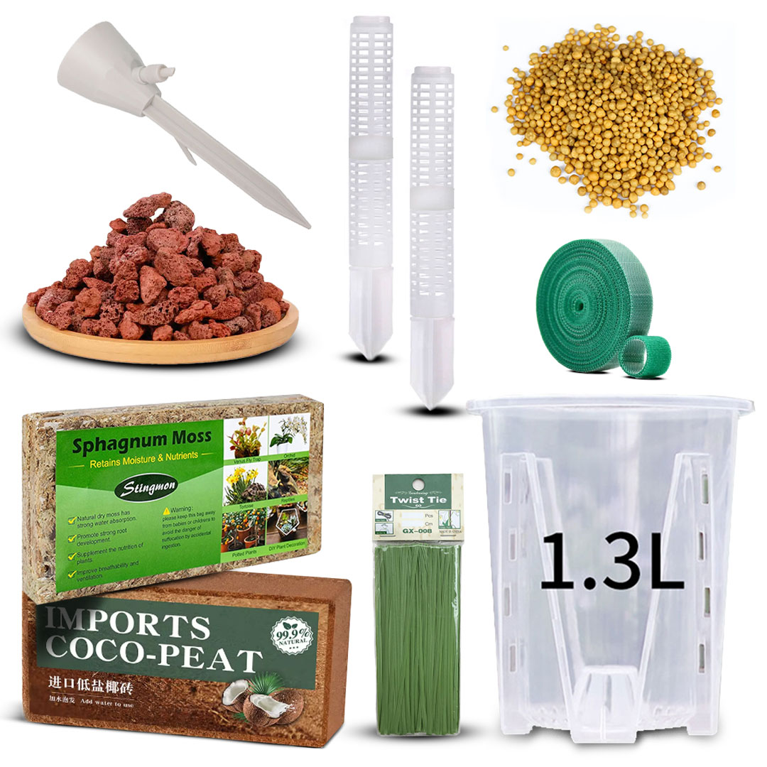 Plant transport basin set equipped with a pole and moss