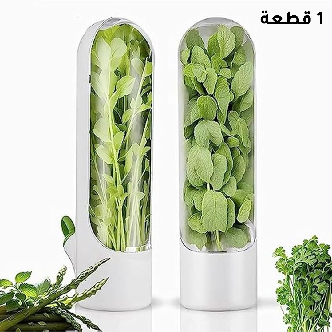 اداة حفظ الورقيات و النعناع و الحبق طازجة 
