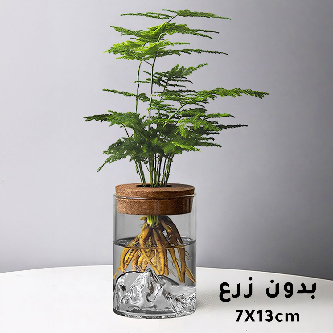 كاس صغير للزراعة المائية