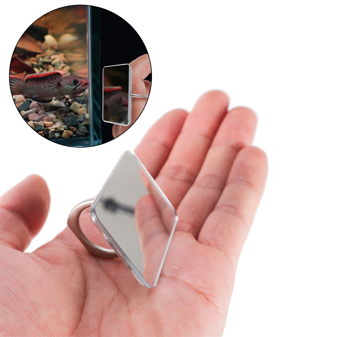 مراية سمك الفايتر K-2019