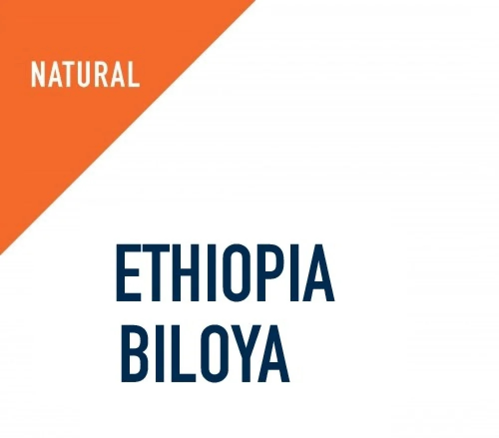 قهوه اثيوبيا بيلويا مجففة من محمصة ادمي 250 جرام